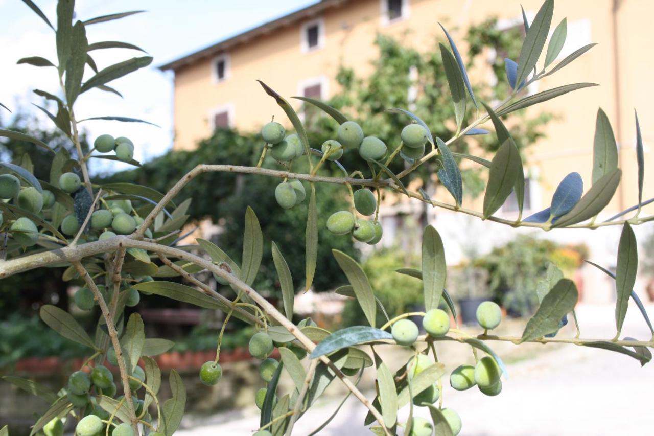 B&B Al Frantoio Chiusi Dış mekan fotoğraf