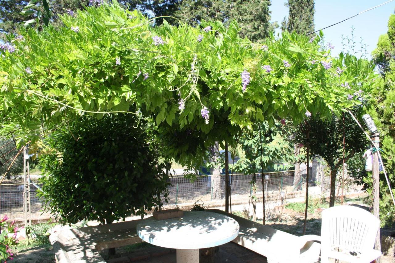 B&B Al Frantoio Chiusi Dış mekan fotoğraf